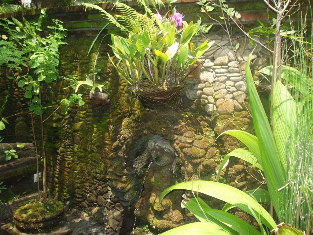 Villa Semana Resort Ubud Dış mekan fotoğraf